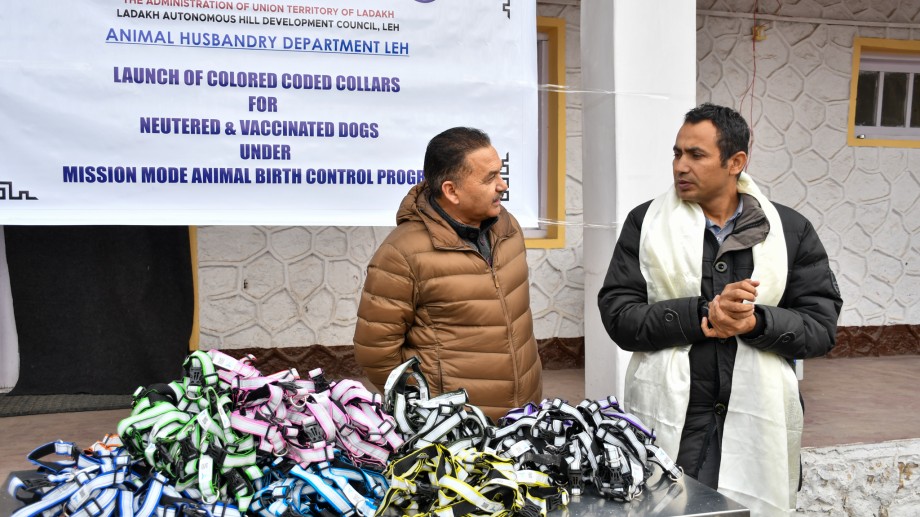 UT Ladakh launches color-coded collars for neutered and vaccinated dogs 