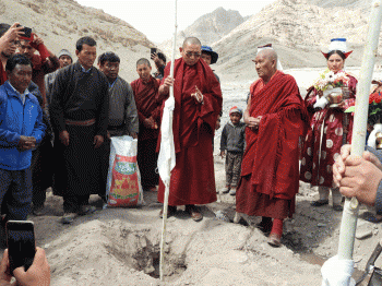 Over 1000 saplings planted in Stok