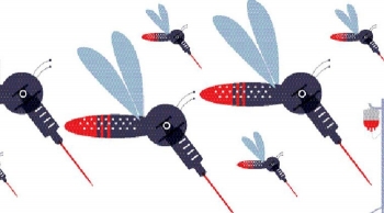 Kargil administration constitutes STF to combat dengue, swine flu
